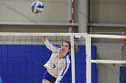 Volleyball vs Babson  Wheaton Women's Volleyball vs Babson College. - Photo by Keith Nordstrom : Wheaton, Volleyball, VB